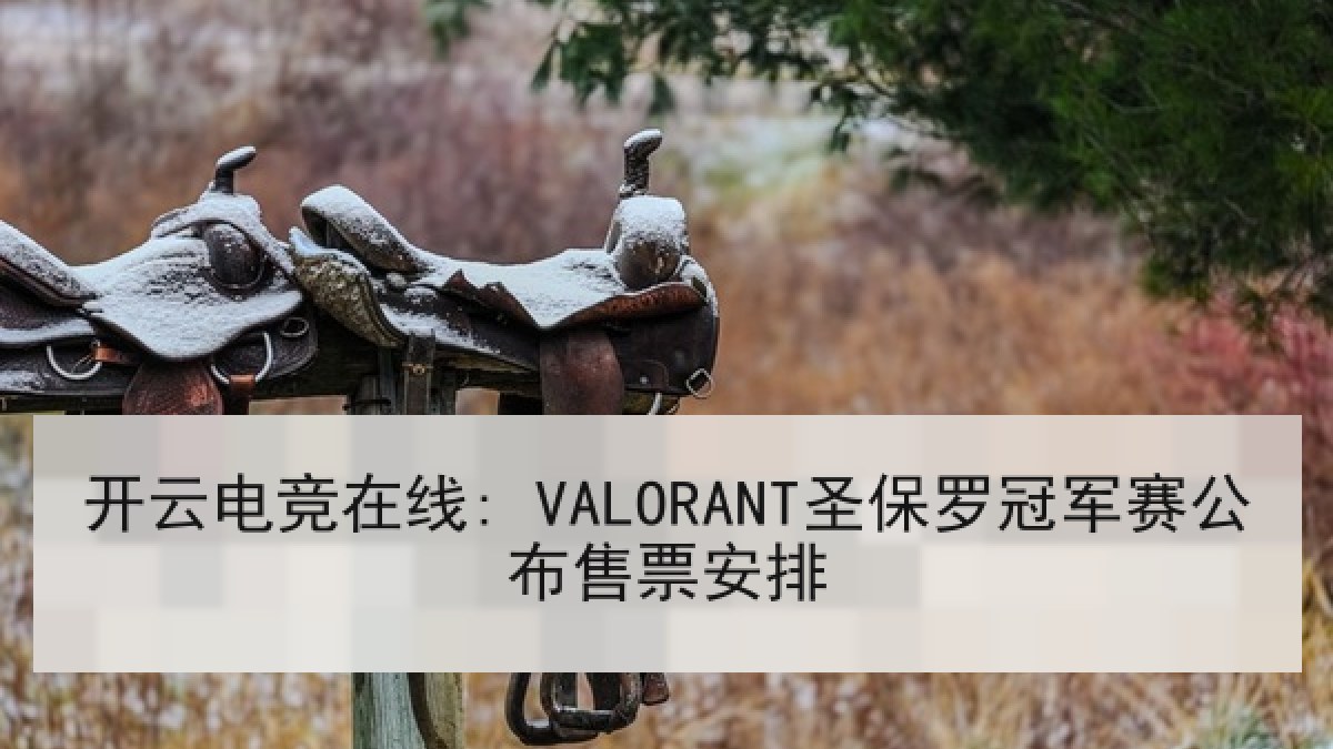 开云电竞在线: VALORANT圣保罗冠军赛公布售票安排