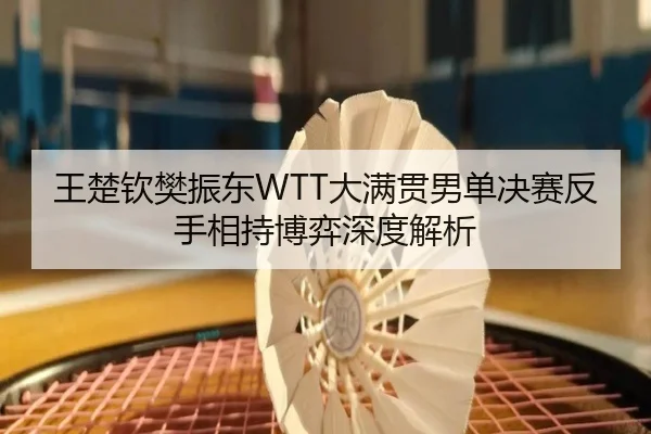 王楚钦樊振东WTT大满贯男单决赛反手相持博弈深度解析
