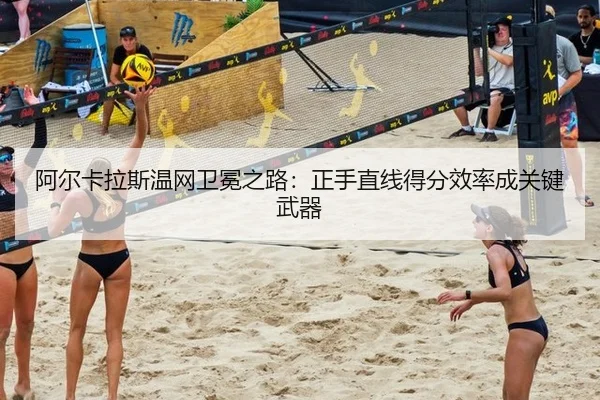 a-er-ka-la-si-wen-wang-wei-mian-zhi-lu-zheng-shou-zhi-xian-de-fen-xiao-lv-cheng-guan-jian-wu-qi-3-317.jpg