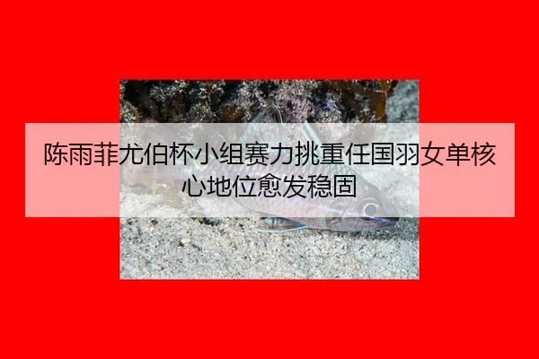 chen-yu-fei-you-bo-bei-xiao-zu-sai-li-tiao-zhong-ren-guo-yu-nv-dan-he-xin-di-wei-yu-fa-wen-gu-3-272.jpg