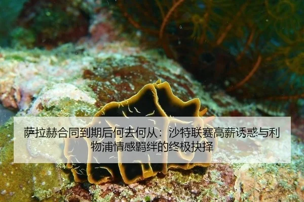 萨拉赫合同到期后何去何从：沙特联赛高薪诱惑与利物浦情感羁绊的终极抉择