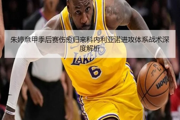 zhu-ting-yi-jia-ji-hou-sai-shang-yu-gui-lai-ke-nei-li-ya-nuo-jin-gong-ti-xi-zhan-shu-shen-du-jie-xi-3-465.jpg