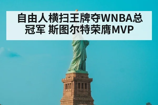 New York Liberty defense