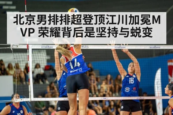 北京男排排超登顶江川加冕MVP 荣耀背后是坚持与蜕变