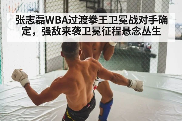 张志磊WBA过渡拳王卫冕战对手确定，强敌来袭卫冕征程悬念丛生