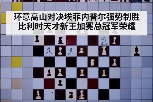 环意高山对决埃菲内普尔强势制胜 比利时天才新王加冕总冠军荣耀